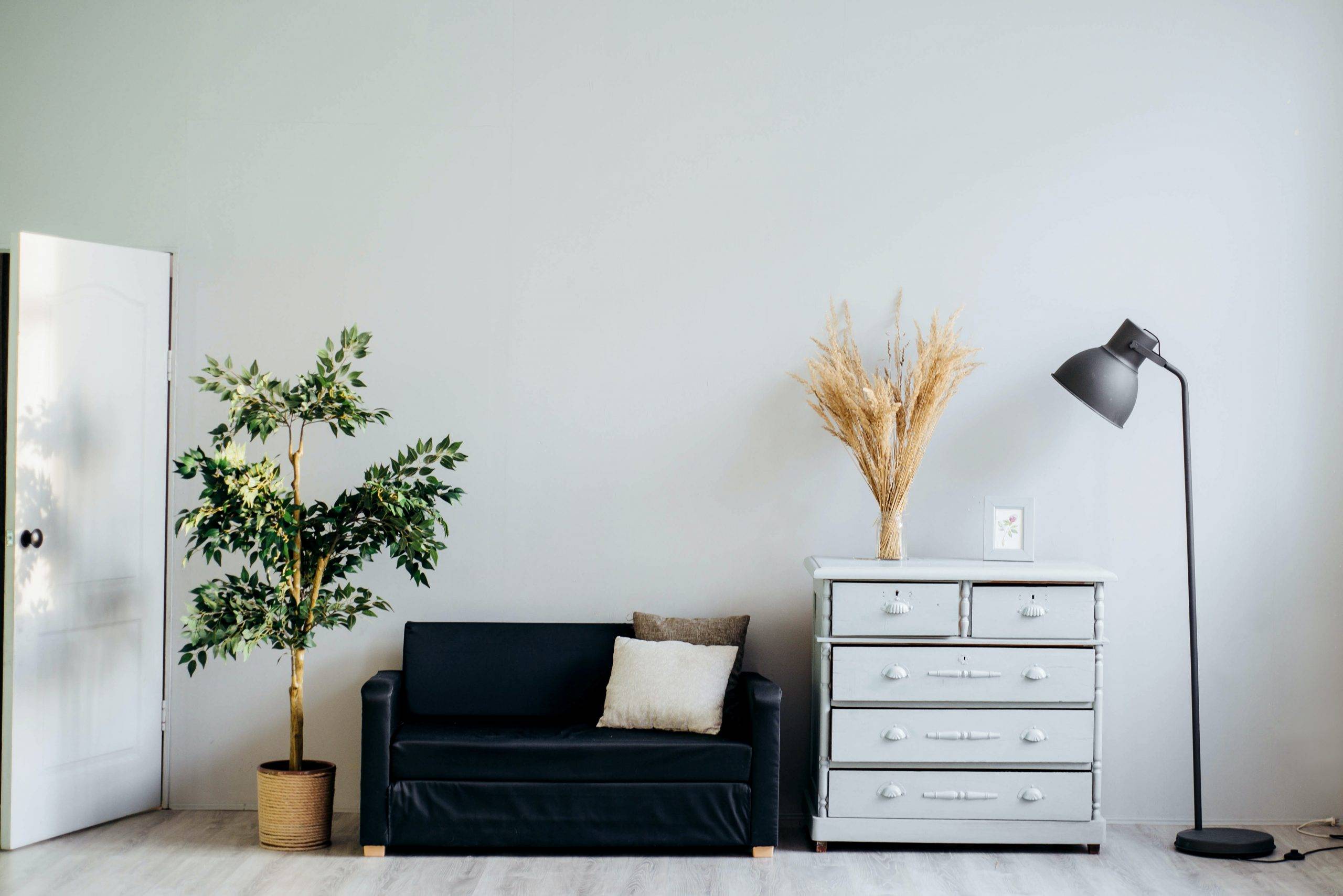 How to Declutter Your Home And Your Life in The Process - tidy home with couch and plant