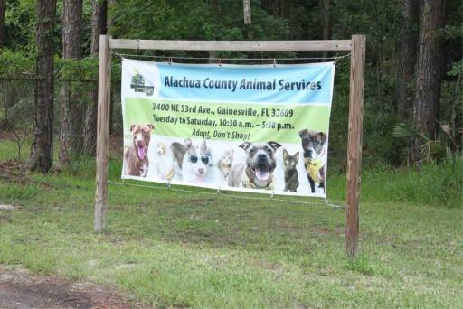 About Alachua County Animal Services
