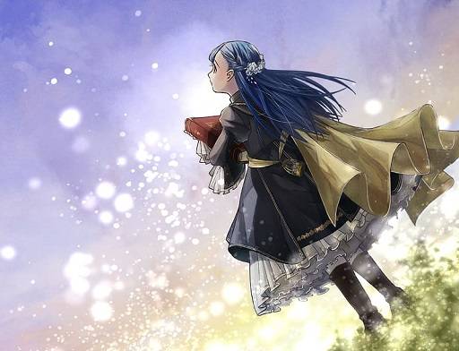 Professional Ascendance