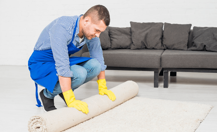 Unveiling the Top Carpet Cleaning Company in Texas carpet