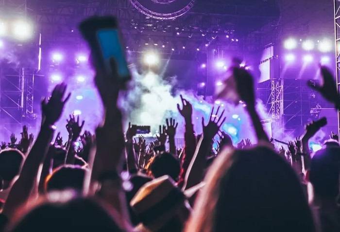 Concert Tours and Performances