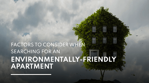 Factors to Consider When Searching