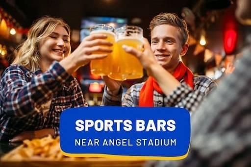 Sports Bars and Pubs