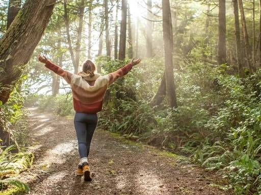 The Therapeutic Value of Nature Trails