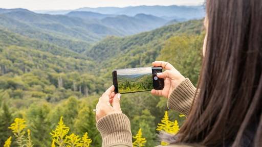 Tips for a Seamless Visit