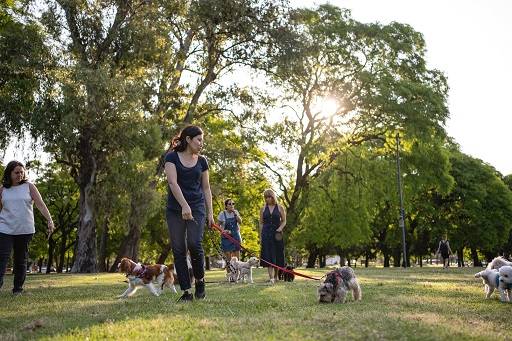 Top Dog Parks Near Me