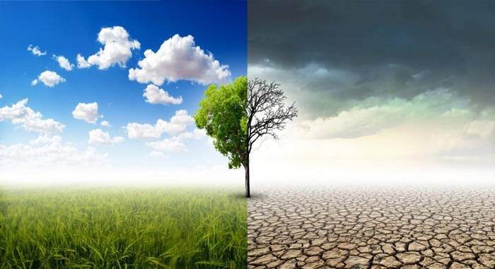 climate change concept healthy vs damaged landscape