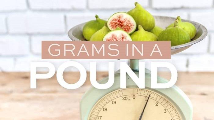 Defining Pounds and Grams