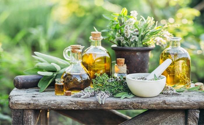 Natural Herbs in Madrid The Definitive Guide to Herbal Edibles Everything You Need to Know