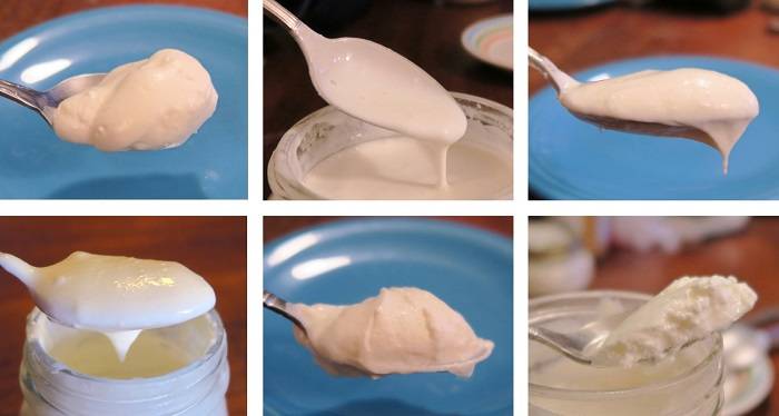 Sour Cream vs Creme Fraiche 2