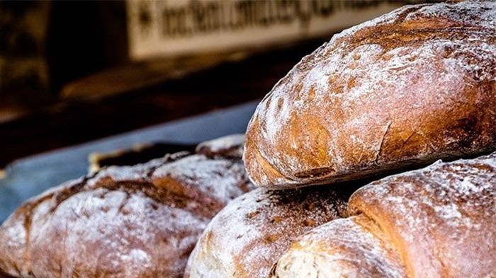 Understanding Sourdough