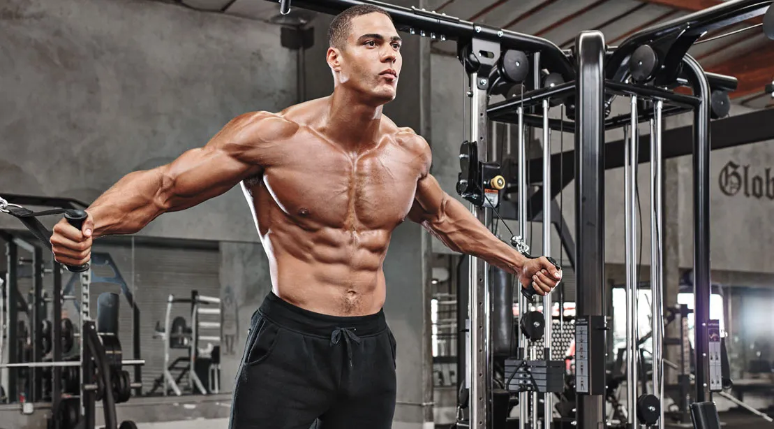 1109 cable chest flye