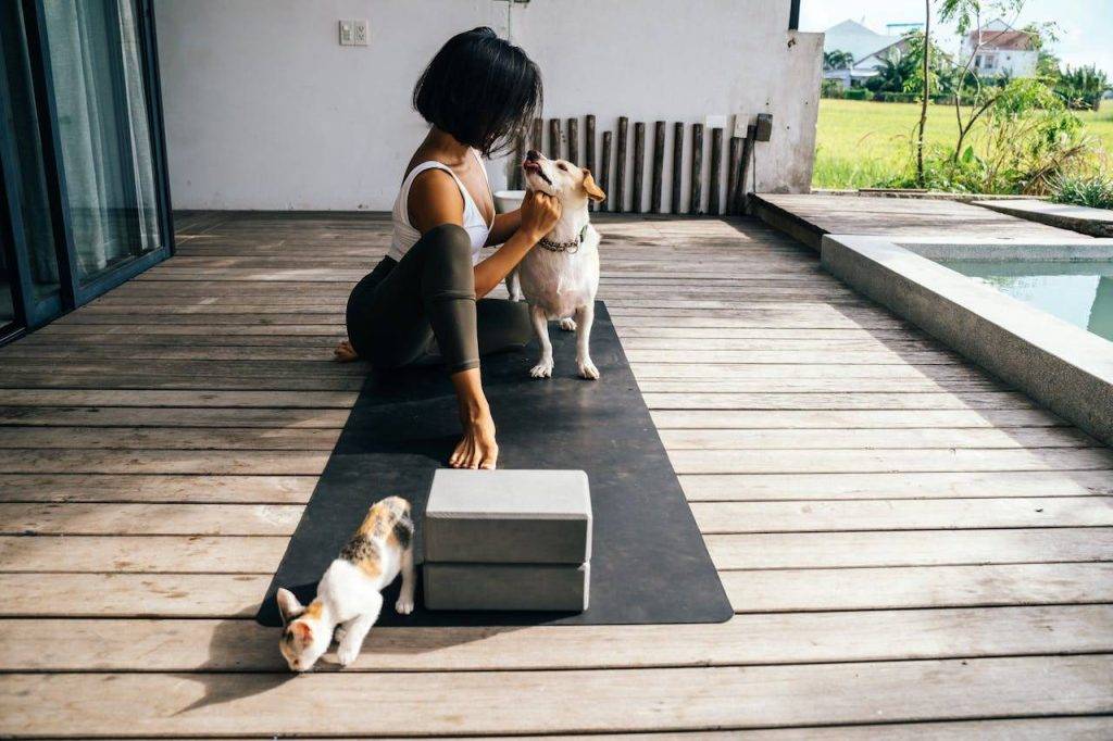Creating a Pet Friendly Environment When Moving Homes