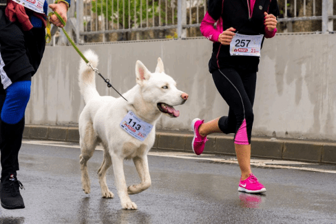 Participants running to support fundraising efforts by a nonprofit organization