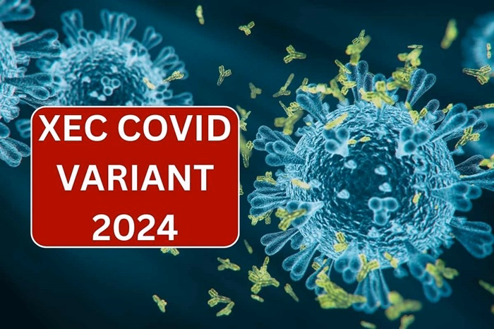 XEC Covid Variant 2024 1
