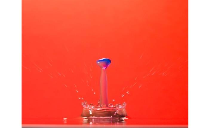 Toto Unleashed: The Powerful Impact of a Legendary Brand 1 9