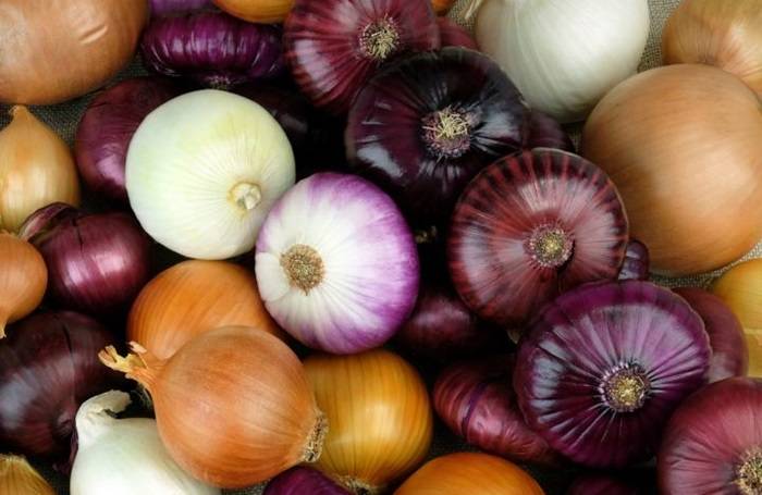 onions leventina gettyimages full width