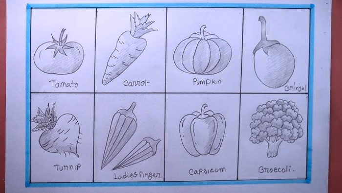 Best Tools for Drawing Vegetables