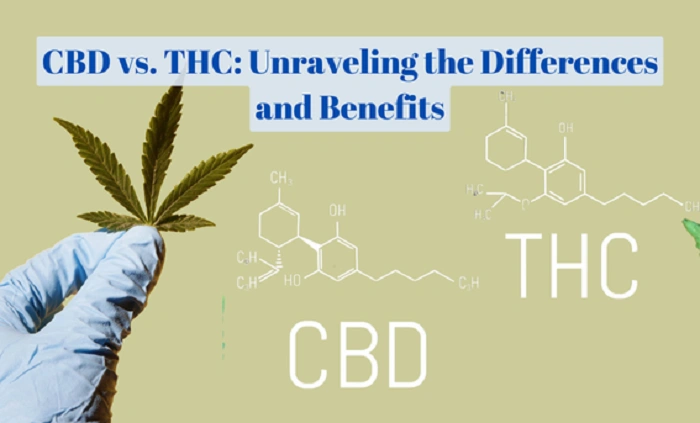 How THC is Measured and Sold