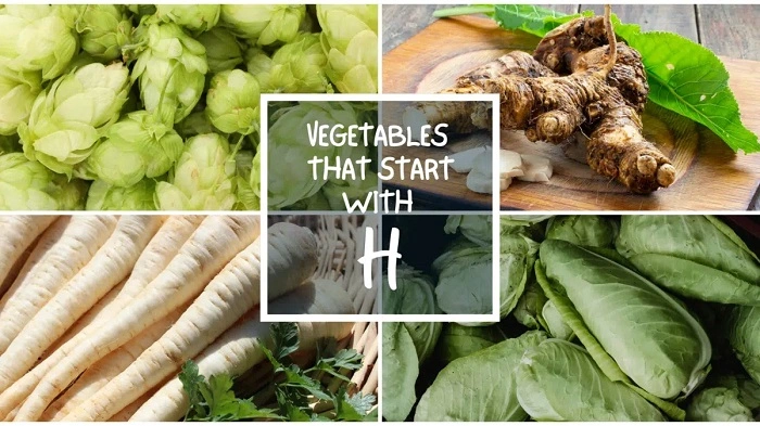 List of Vegetables That Start With H 1