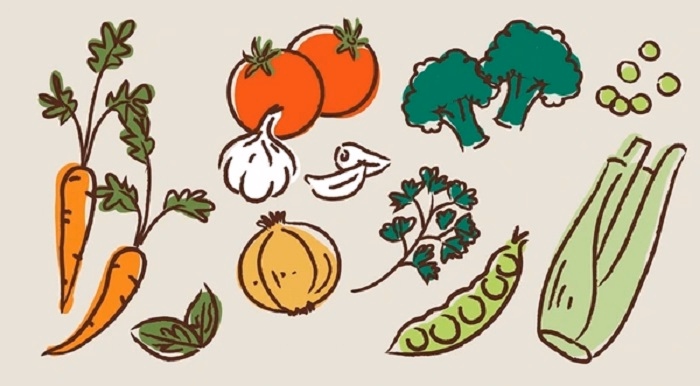 Types of Vegetables Drawing Styles