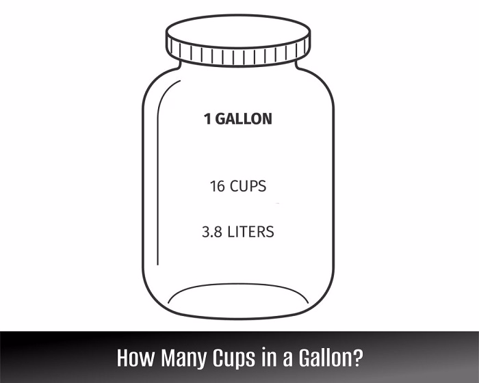 Understanding Gallons and Cups