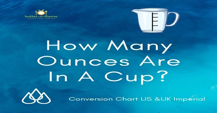 Understanding Ounces and Cups 69 1