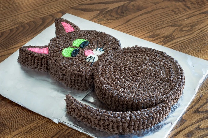 What is a Cat Cake