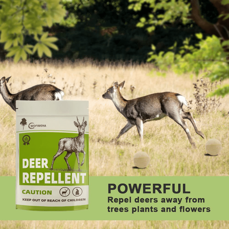 Effective Deer Repellent Solutions to Protect Your Garden Naturally2