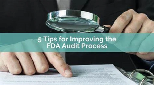 What is an FDA Audit Anyway?