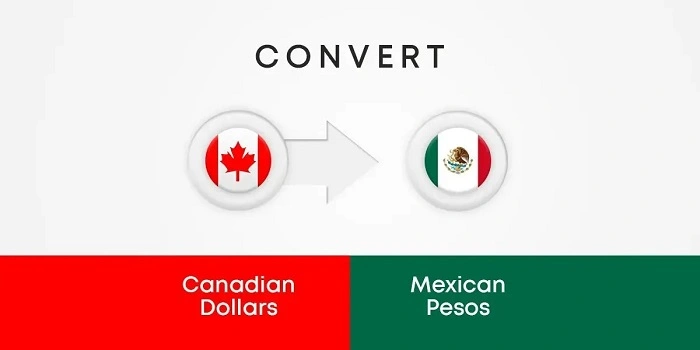 What Drives the Price of the Canadian Dollar Against the Mexican Peso?