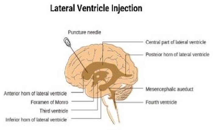 8edd6573 99b7 4558 a539 3db9c135b248