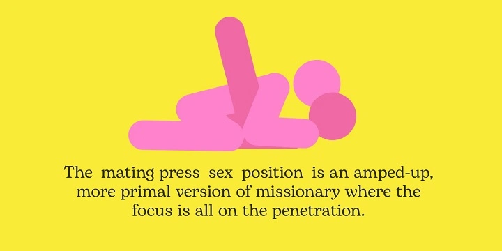 Mating Press: The Sexual Posture in Nature mating press
