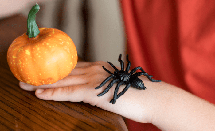 Why Solitaire Spider: Is Great for Both Beginners and Experts Screenshot 1 2